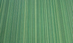 Dāvanu papīrs 50cm (10m), zaļš ar smalkām zelta svītrām (34)