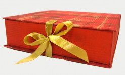 Sarkana dāvanu kaste 30x20x10 cm