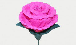 Rozā papīra zieds
