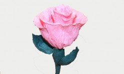 Gaiši rozā papīra zieds
