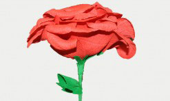 Sarkans papīra zieds
