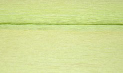 Gaiši zaļš kreppapīrs 0,5x2,5 m (KR9)